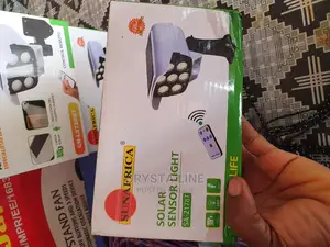 Security Solar Light With Remote