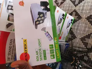Security Solar Light With Remote