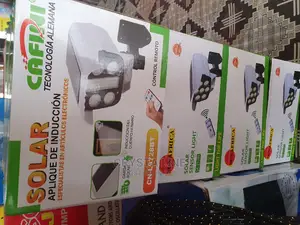 Security Solar Light With Remote