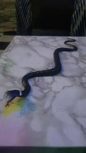 Rubber Toy Snake