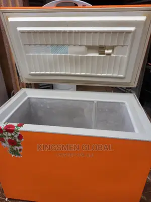 Liebherr Germany Best-Selling Chest Freezer