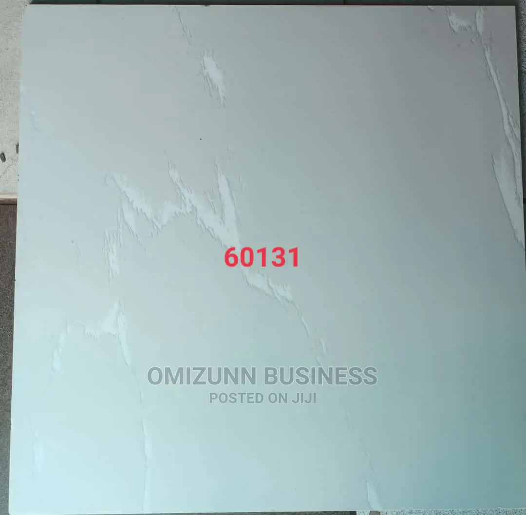 Quality 60 X 60 Ceramic Floor Tiles.