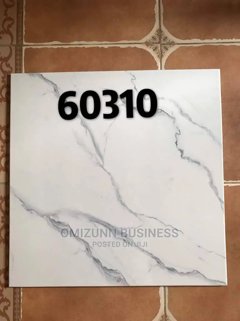 Quality 60 X 60 Ceramic Floor Tiles.