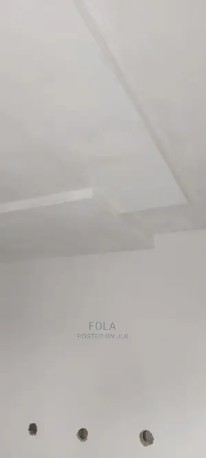 Drywall Ceiling/Wall Screeding/Lightning