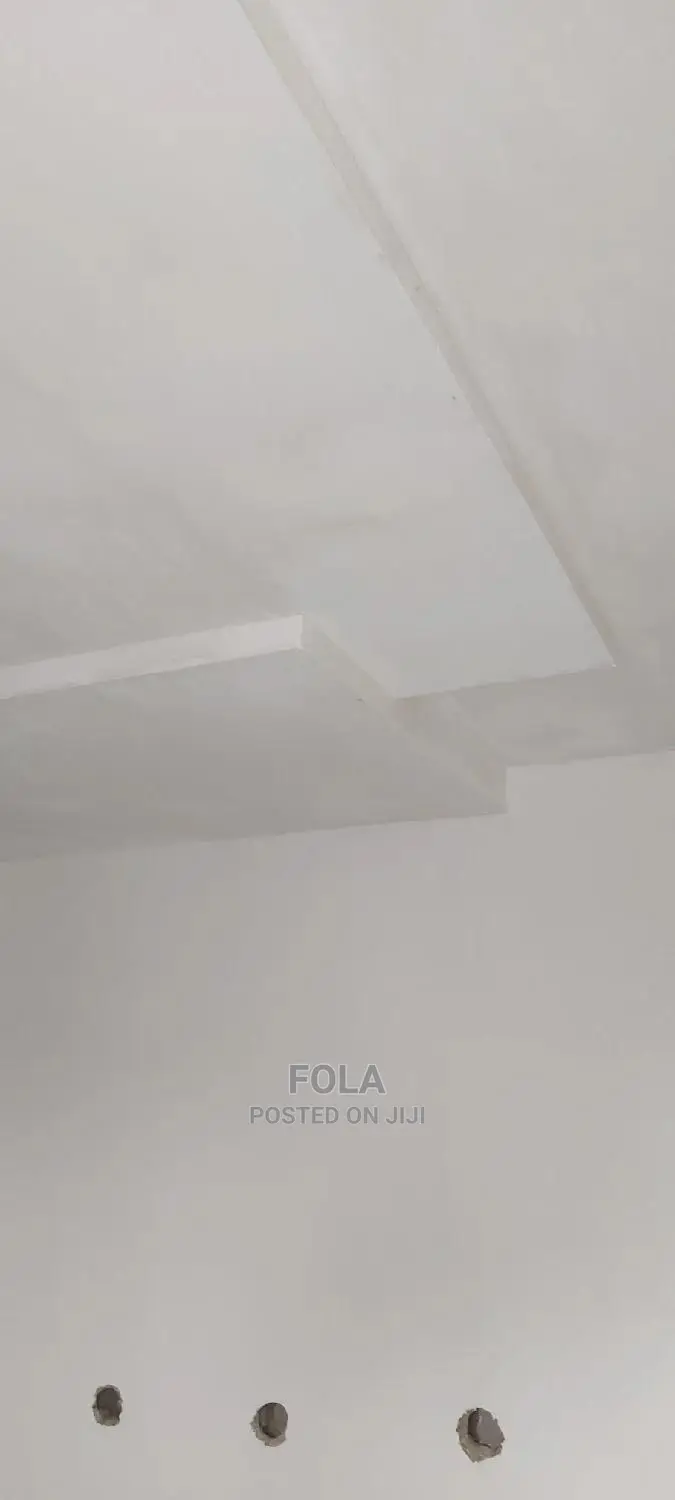 Drywall Ceiling/Wall Screeding/Lightning