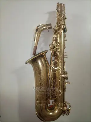 Professional Maxtone Alto Saxophone
