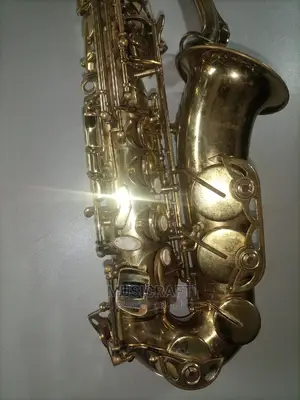 Professional Maxtone Alto Saxophone