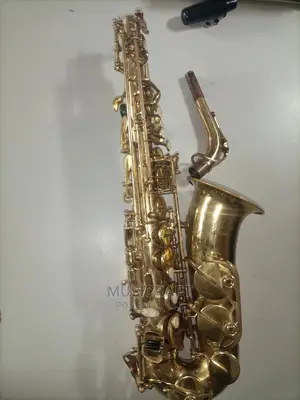 Professional Maxtone Alto Saxophone