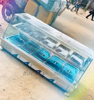 Foreign Food Warmer