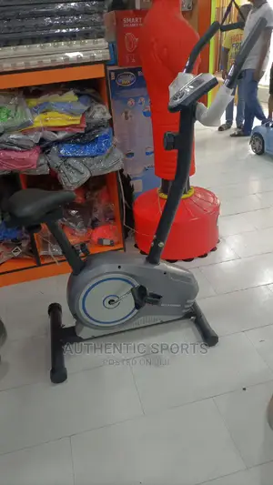 Magnetic Bike With Metre