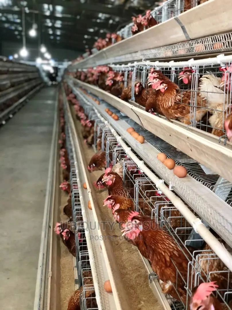 Battery Cage