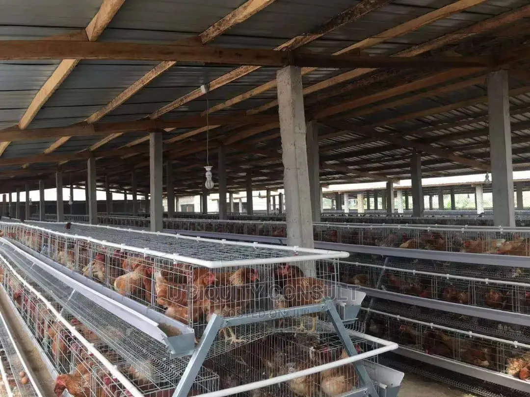 Battery Cage