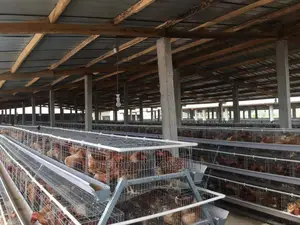 Battery Cage
