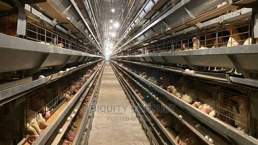 Battery Cage