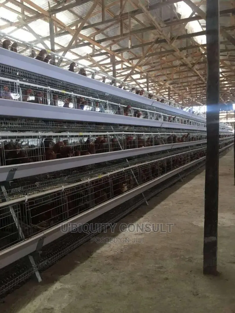 Battery Cage