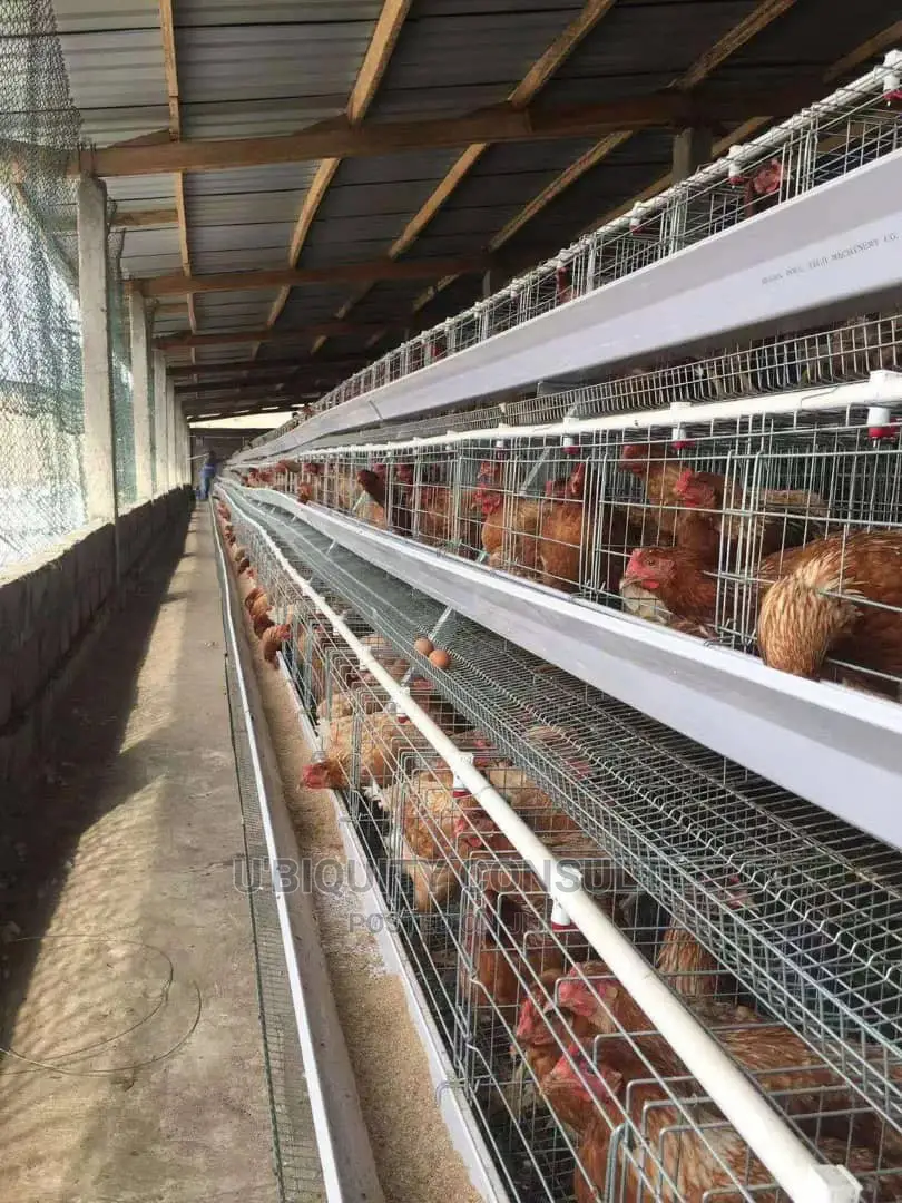 Battery Cage