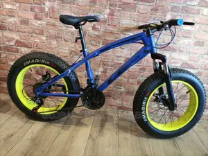 Bicycle Collection