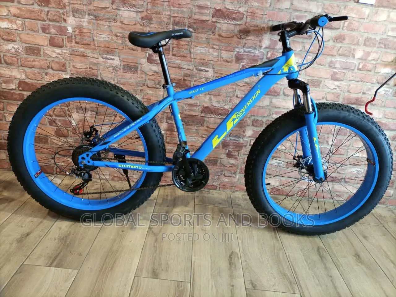 Bicycle Collection
