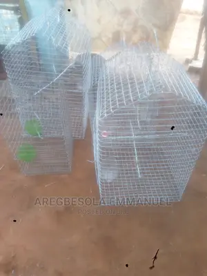 Photo - Parrots Cage,Cannery Cage and Other Bird Cages Avialable.