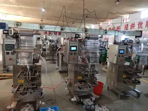 Paste Liquid Sachet Packaging Machine