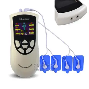 Blueidea Intelligent Voice Deluxe Massager