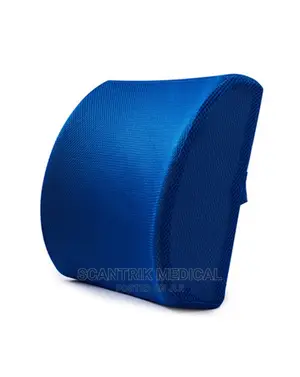 Foam Back Cushion (Blue)