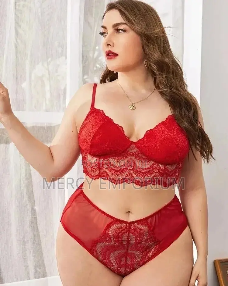 Mesh Lace Lingerie