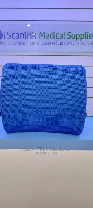 Foam Lumbar Support Back Cushion