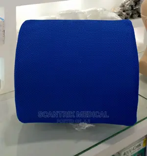Back Rest Support Pillow