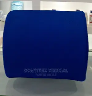 Restore Lumbar Support Back Cushion