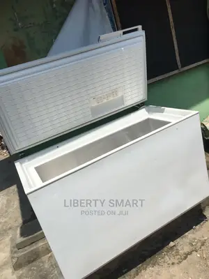 AEG Deep Freezer 300 Litres