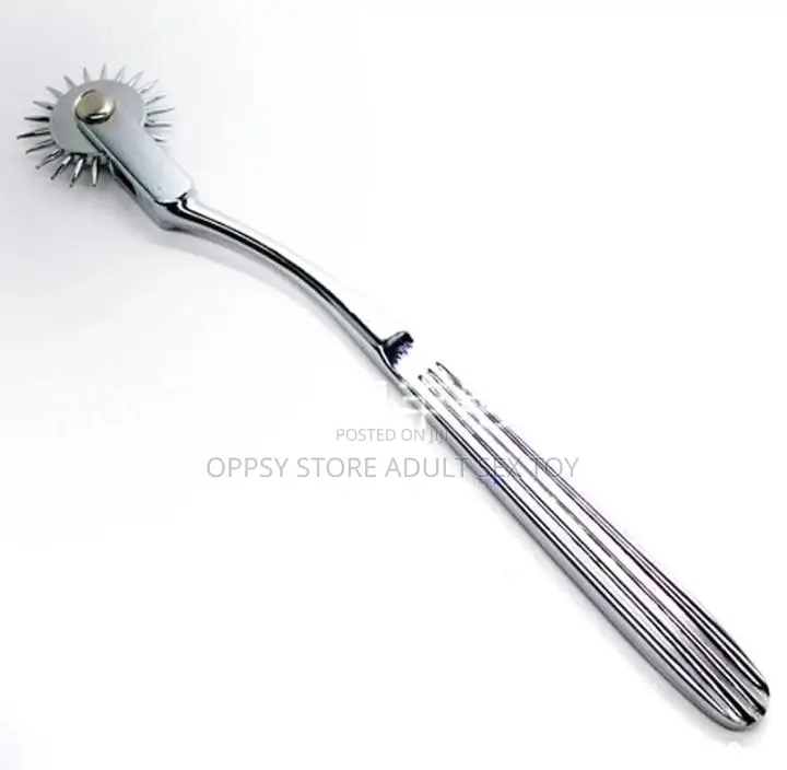 Pinwheel BDSM Kit