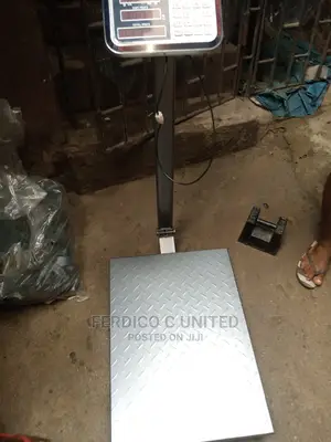 High Quality Camry Scale 300kg