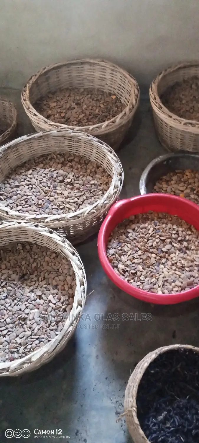Abere Seed