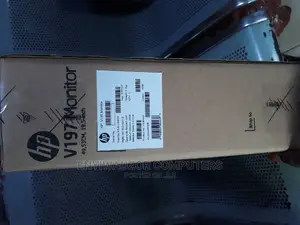 HP V197 Monitor