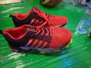 Adidas Canvas