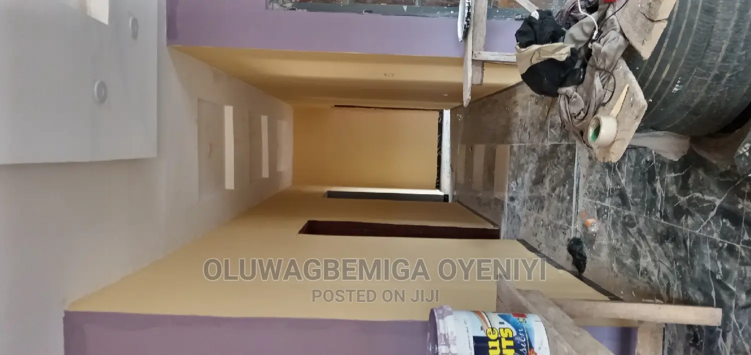 Professional House Painter