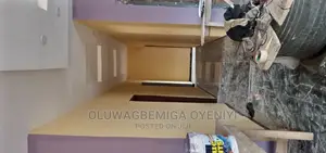 Professional House Painter