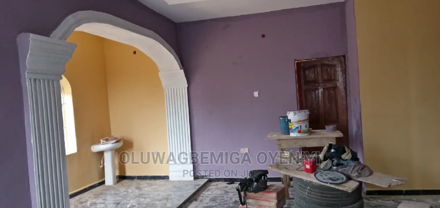 Professional House Painter