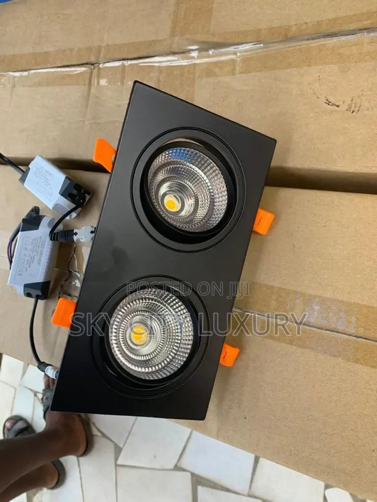 Led Double Sport Light