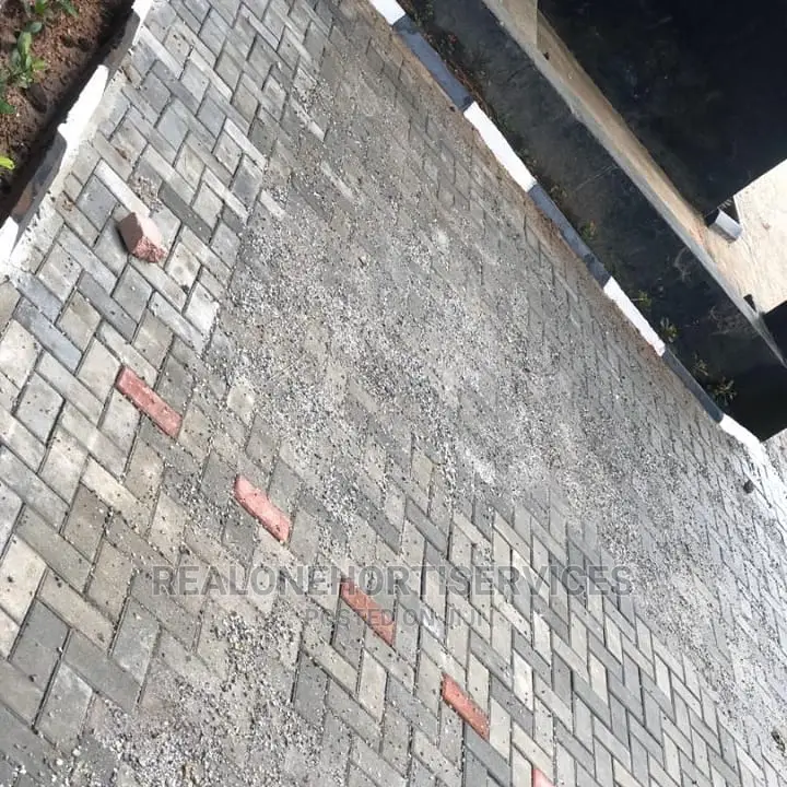 Interlocking Pavers