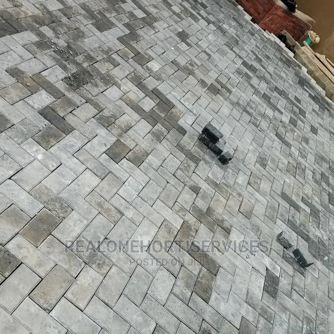 Interlocking Pavers