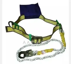 Waist Safety Belt