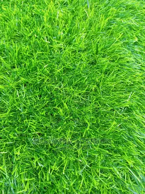 45mm Quality Artificial Grass
