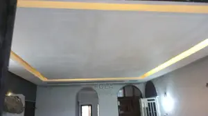 Ceiling Design / Wall Partition