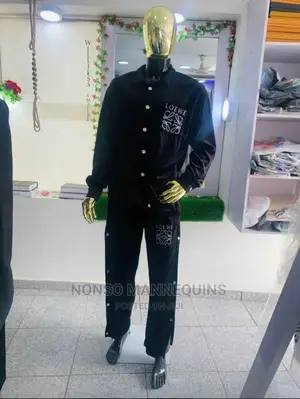 Gold And Black Male Full Body Arcylic Mannequins