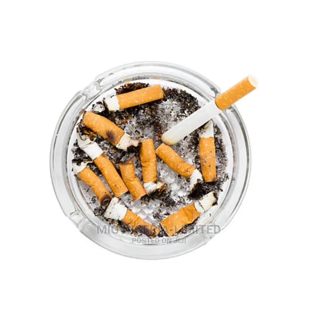 30l Anti Rust Stainless Steel Ashtray Cigarette Dustin