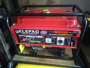 Elepaq Constant Generator Ec5800