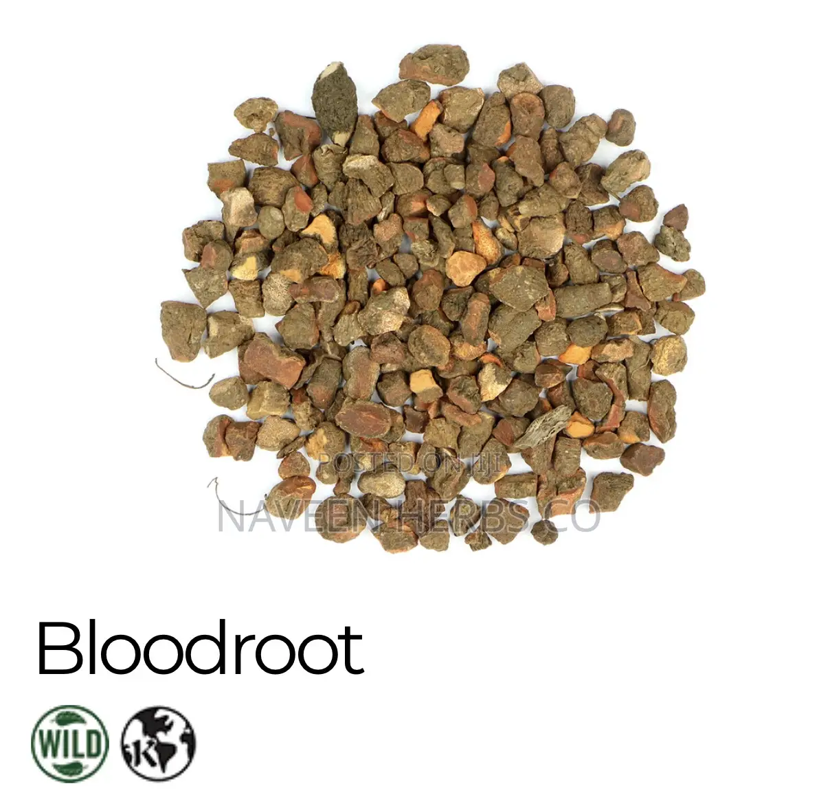 Premium Bloodroot Herb - 50g