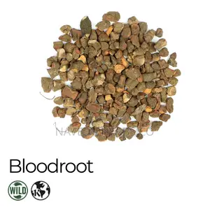 Premium Bloodroot Herb - 50g